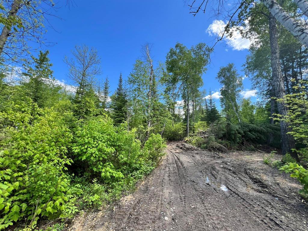 Photo 7 of 92 Pelican Inlet Road, Manigotagan MB