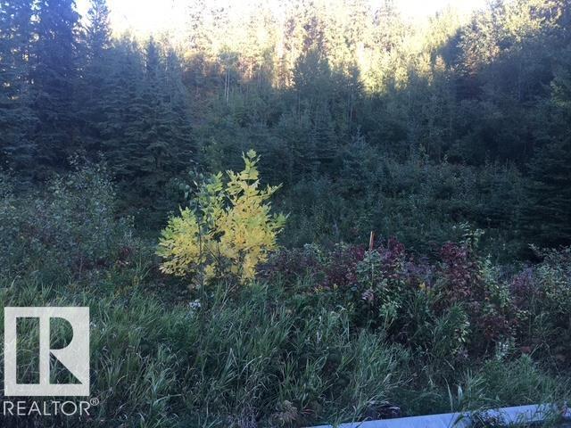 Photo 54 of 1122 Wedgewood Bv Nw, Edmonton AB