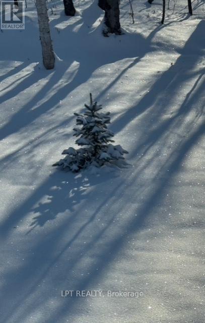 Photo 30 of 331 Maple Grove, Frontenac ON