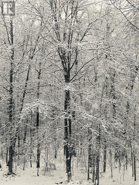 Photo 32 of 331 Maple Grove, Frontenac ON