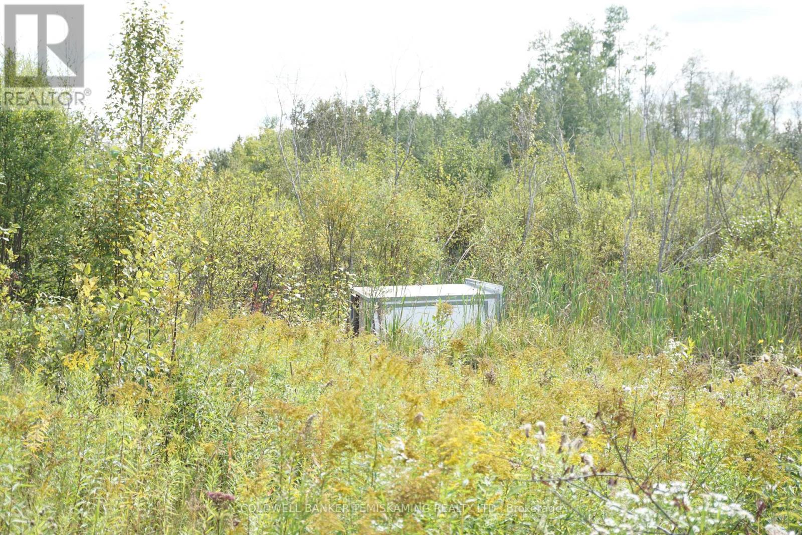 LOT 1 CAMPBELL'S ROAD - 24