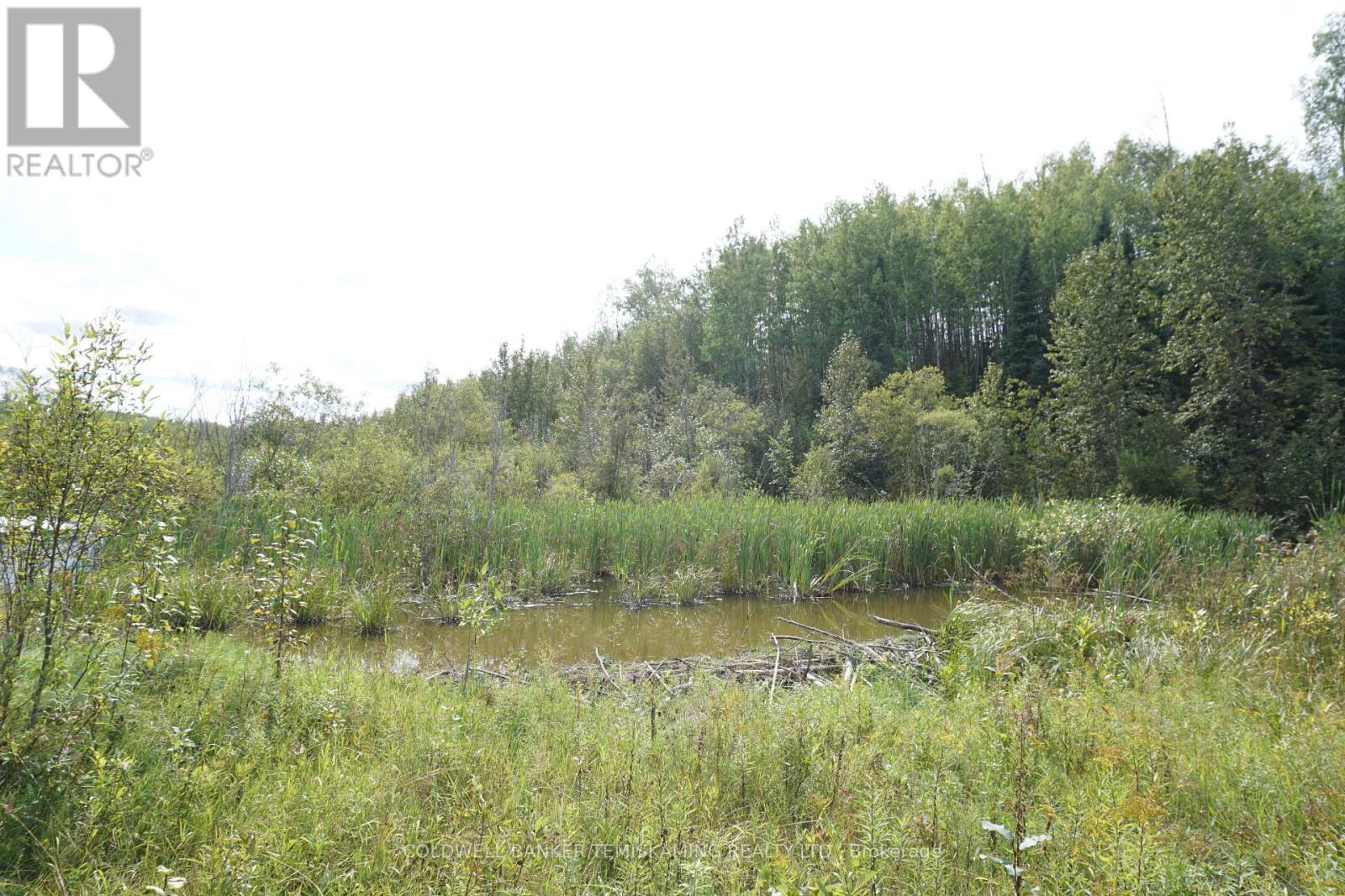 LOT 1 CAMPBELL'S ROAD - 27