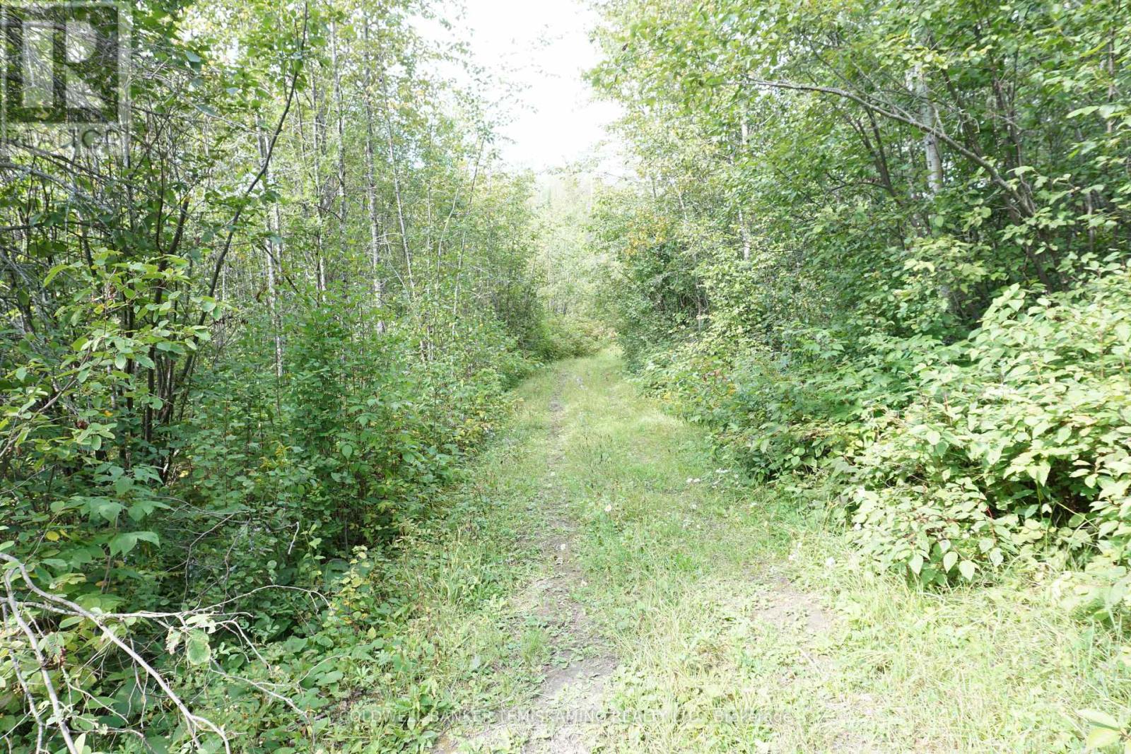 LOT 1 CAMPBELL'S ROAD - 28