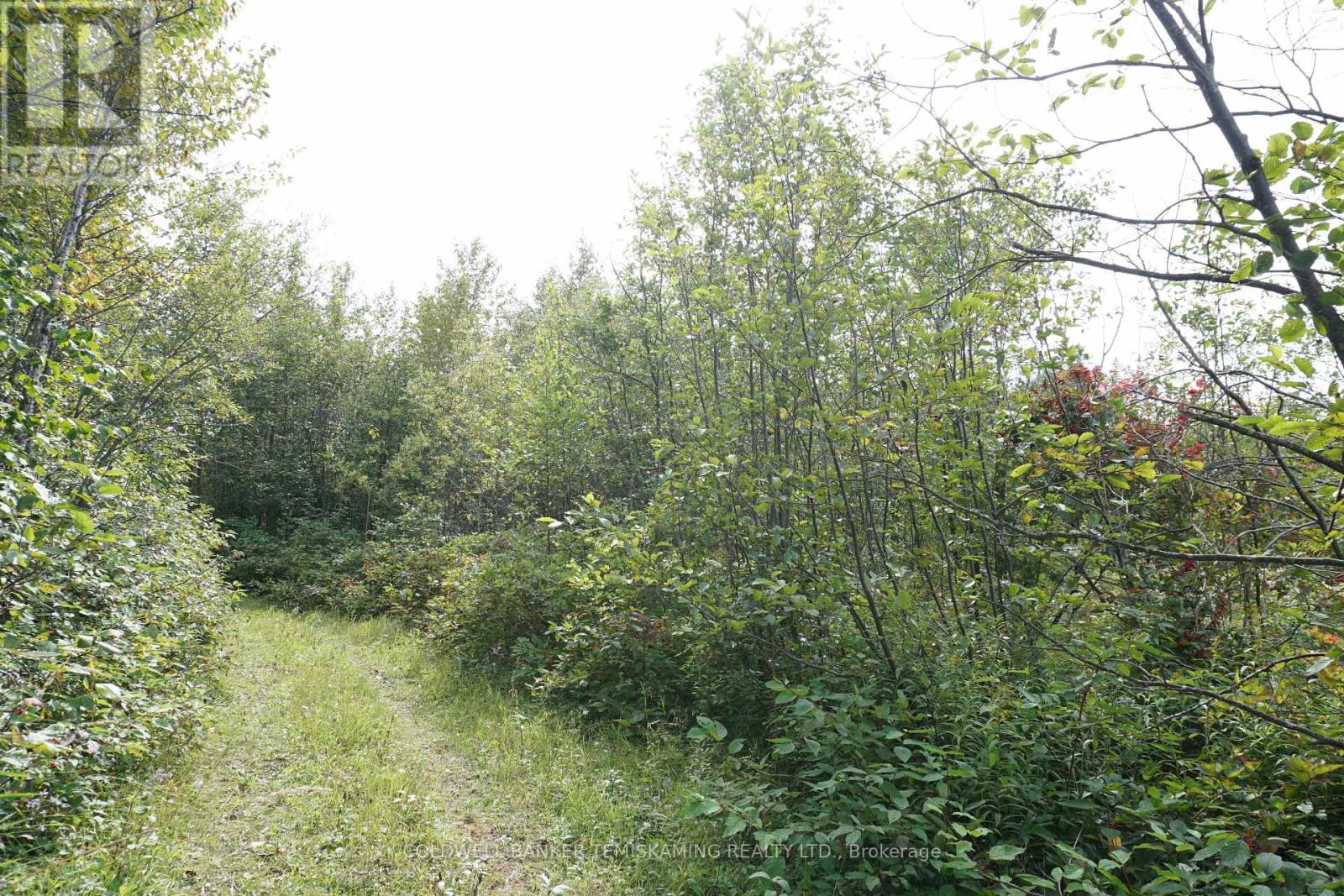 LOT 1 CAMPBELL'S ROAD - 29
