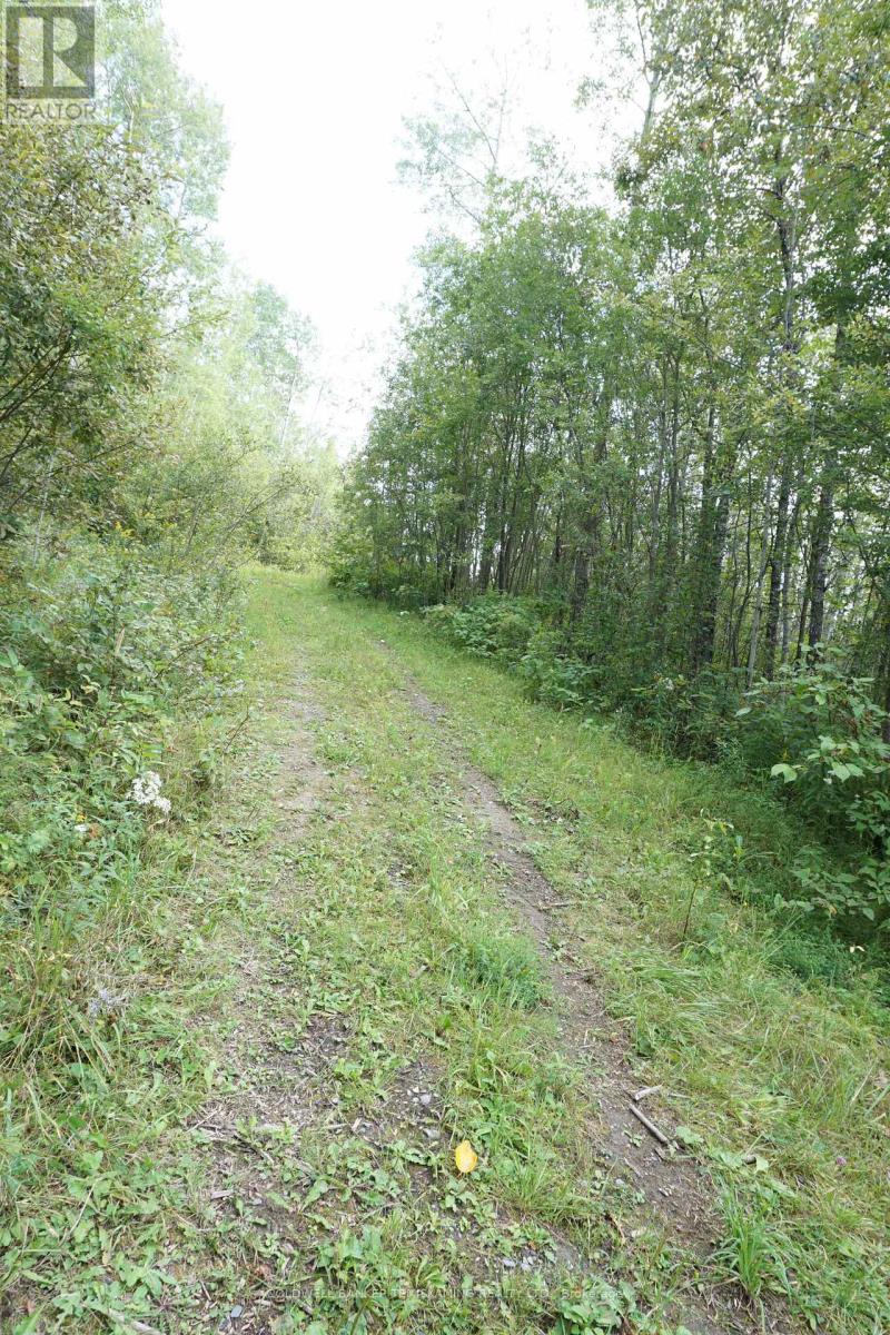 LOT 1 CAMPBELL'S ROAD - 30