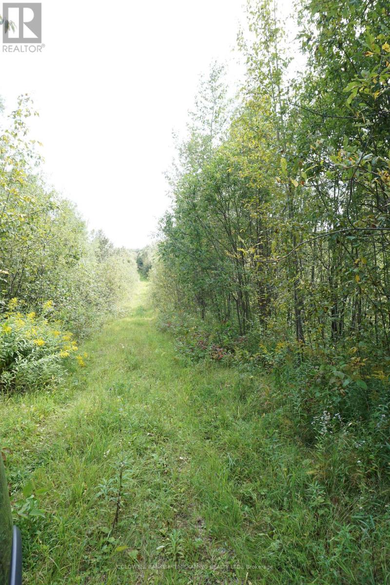 LOT 1 CAMPBELL'S ROAD - 31