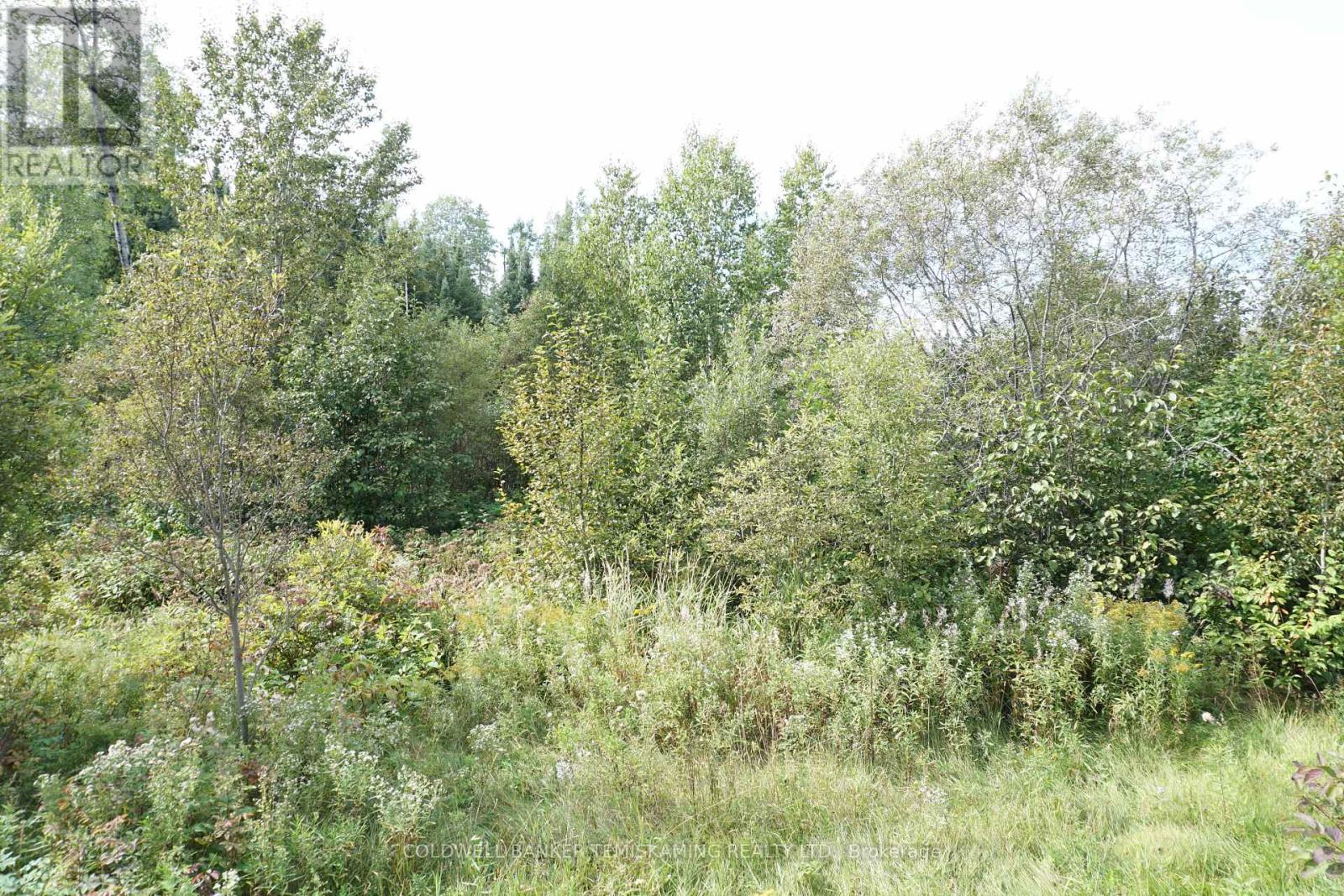 LOT 1 CAMPBELL'S ROAD - 32