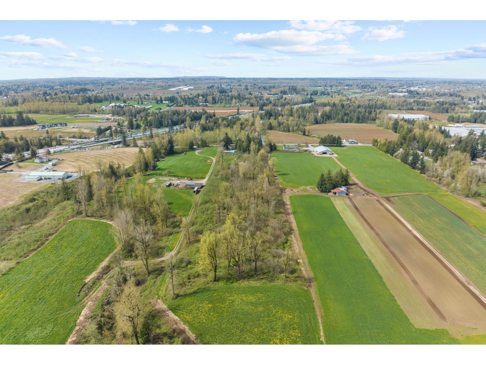 Photo 6 of 4162 Bradner Road, Abbotsford BC