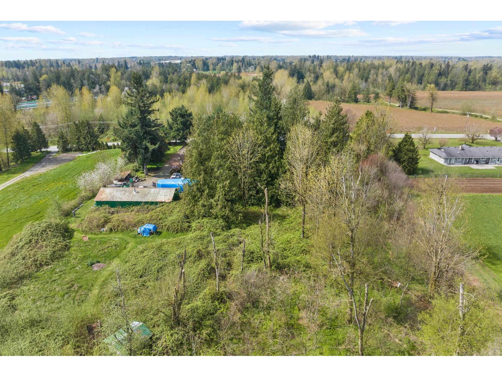 Photo 9 of 4162 Bradner Road, Abbotsford BC