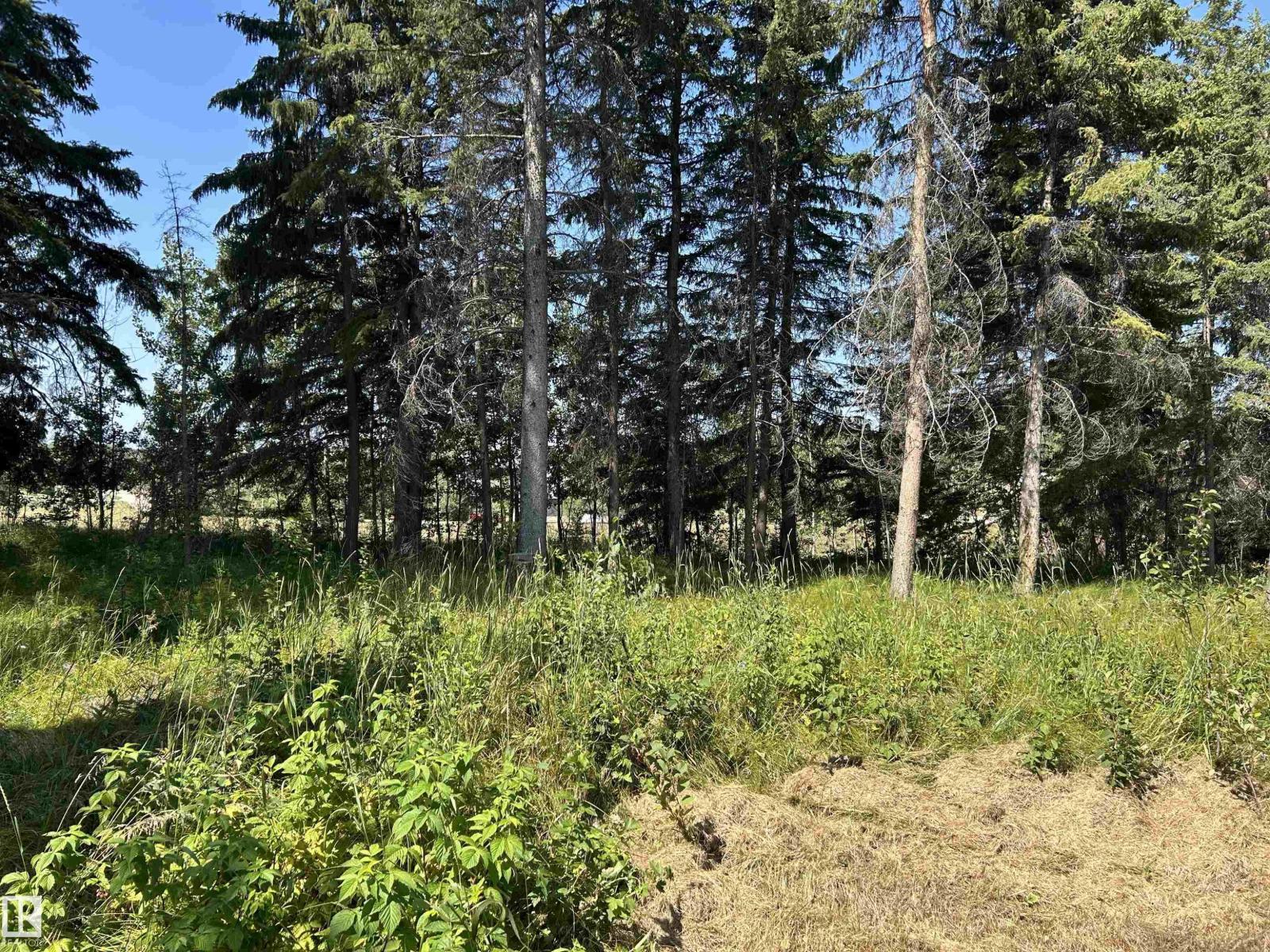 Photo 5 of 4 53120 Rge Road 15, Rural Parkland County AB