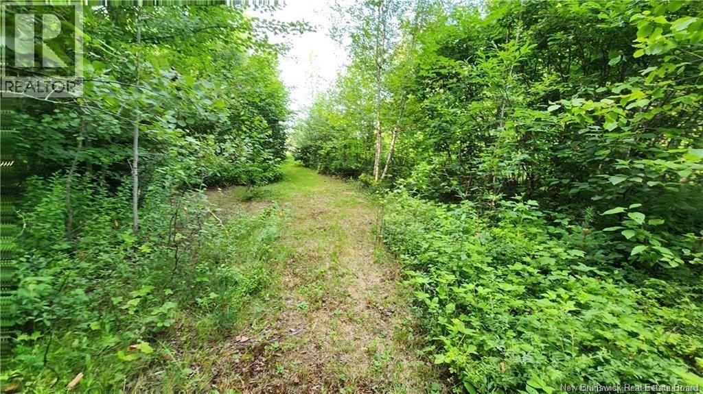 Photo 2 of 7 6 Acres Rue Pinet, Bertrand NB
