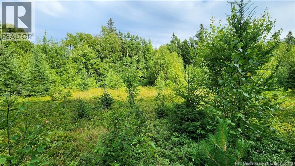 Photo 3 of 7 6 Acres Rue Pinet, Bertrand NB