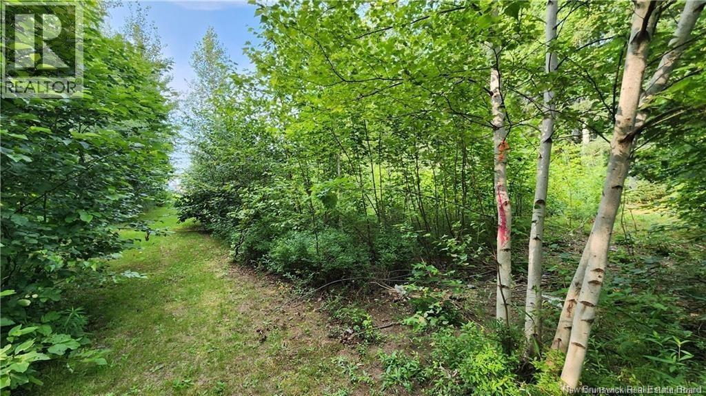 Photo 4 of 7 6 Acres Rue Pinet, Bertrand NB