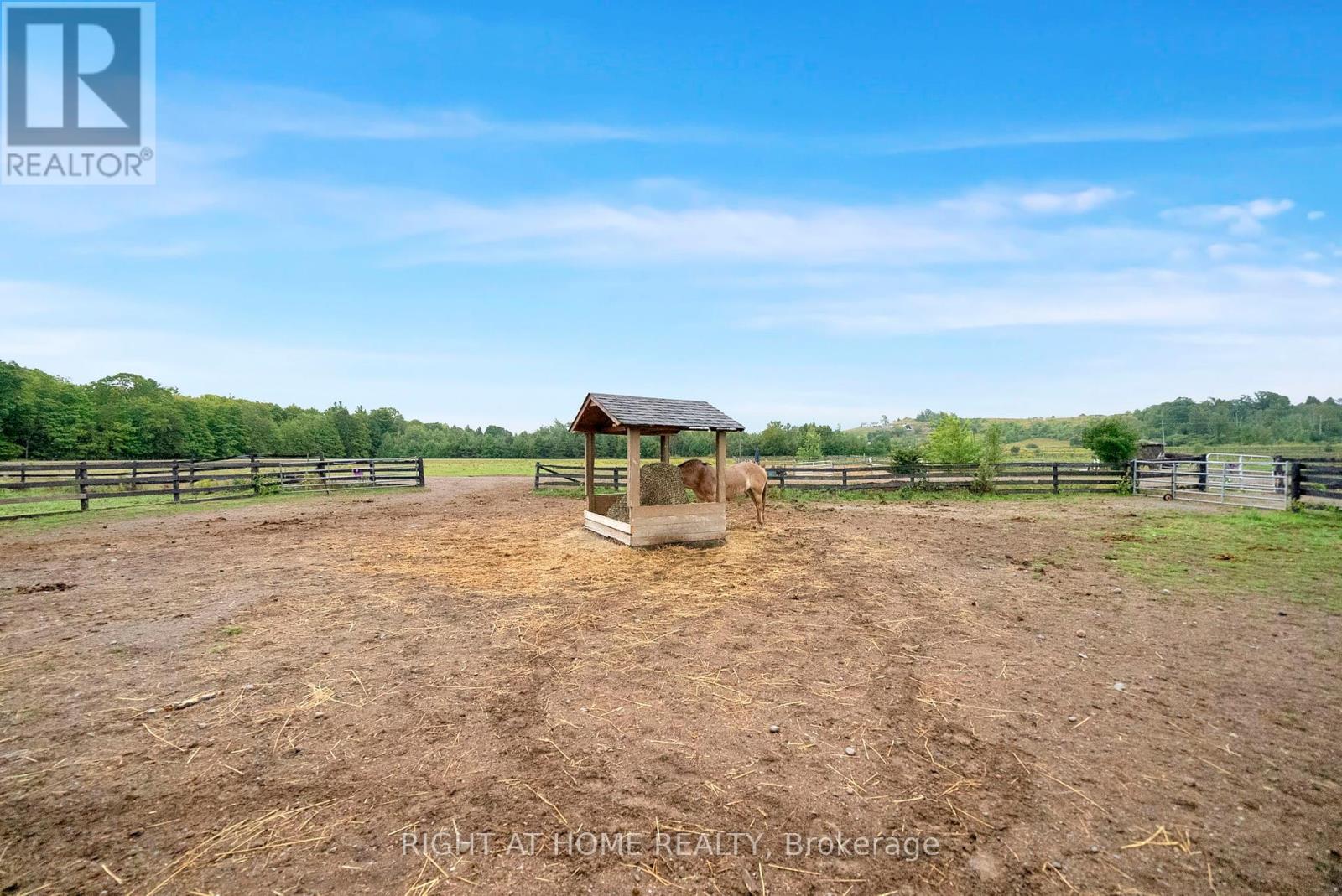 Photo 44 of 6265 Regional Road 18 Road, Clarington ON