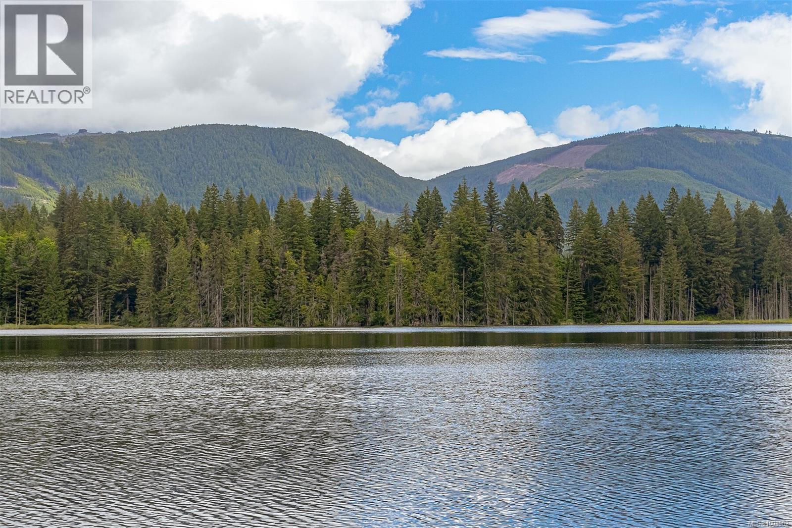 5 8631 South Shore Rd, Lake Cowichan