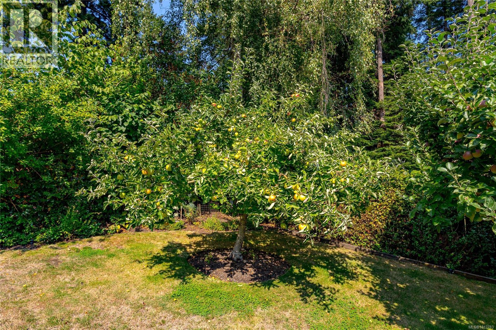 Photo 44 of 4450 Autumnwood Lane, Saanich BC