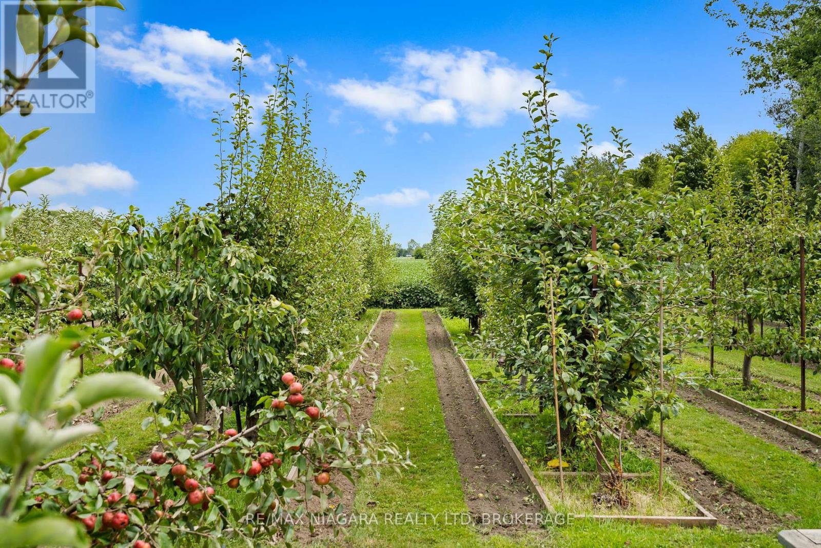 Photo 36 of 63023 Perry Road, Wainfleet ON