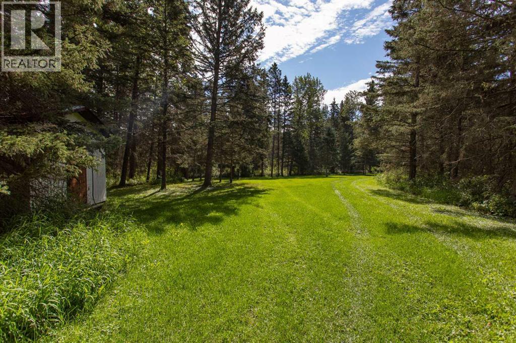 Photo 4 of 126 4th Street, Leslieville AB