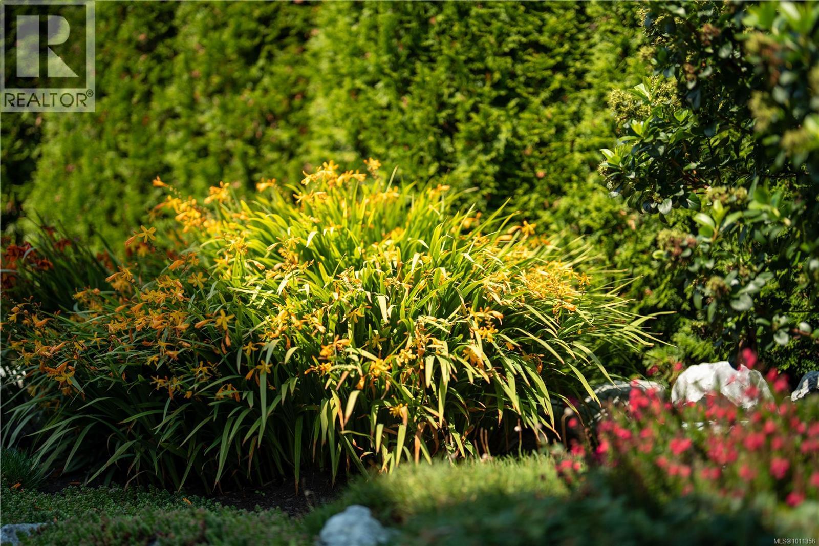  6552 Arranwood Drive, Sooke