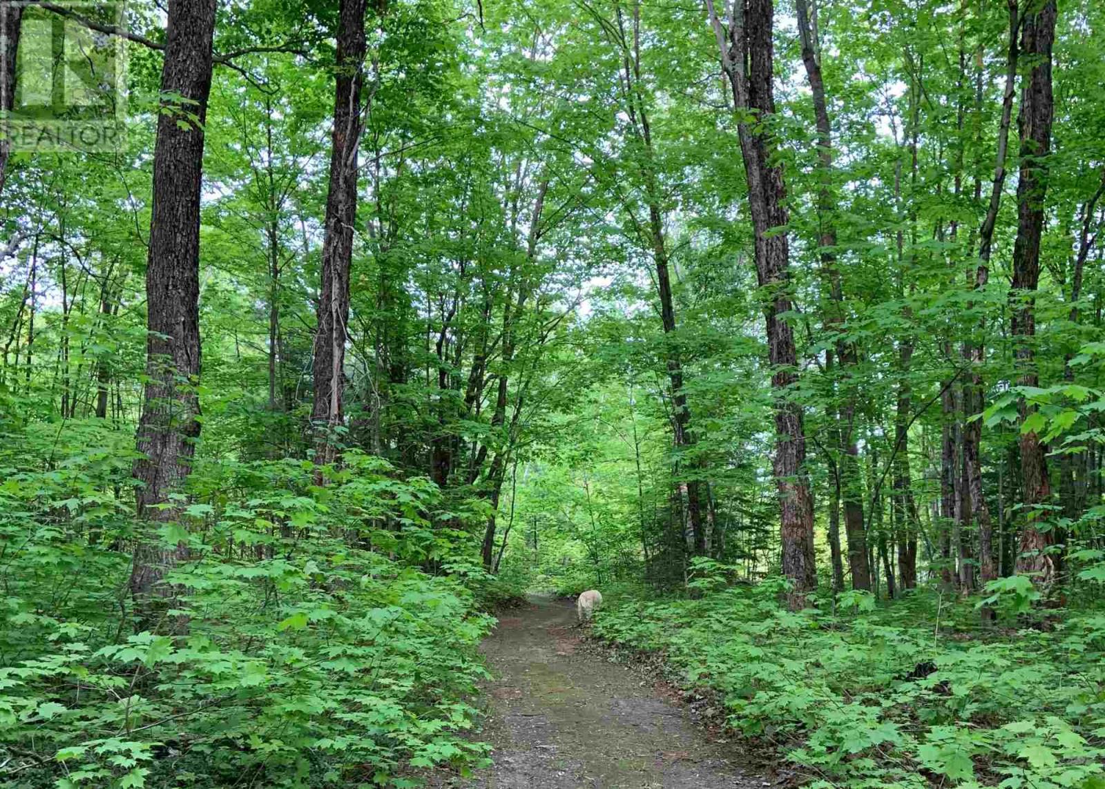 Photo 44 of 595 Old Goulais Bay Rd, Sault Ste Marie ON