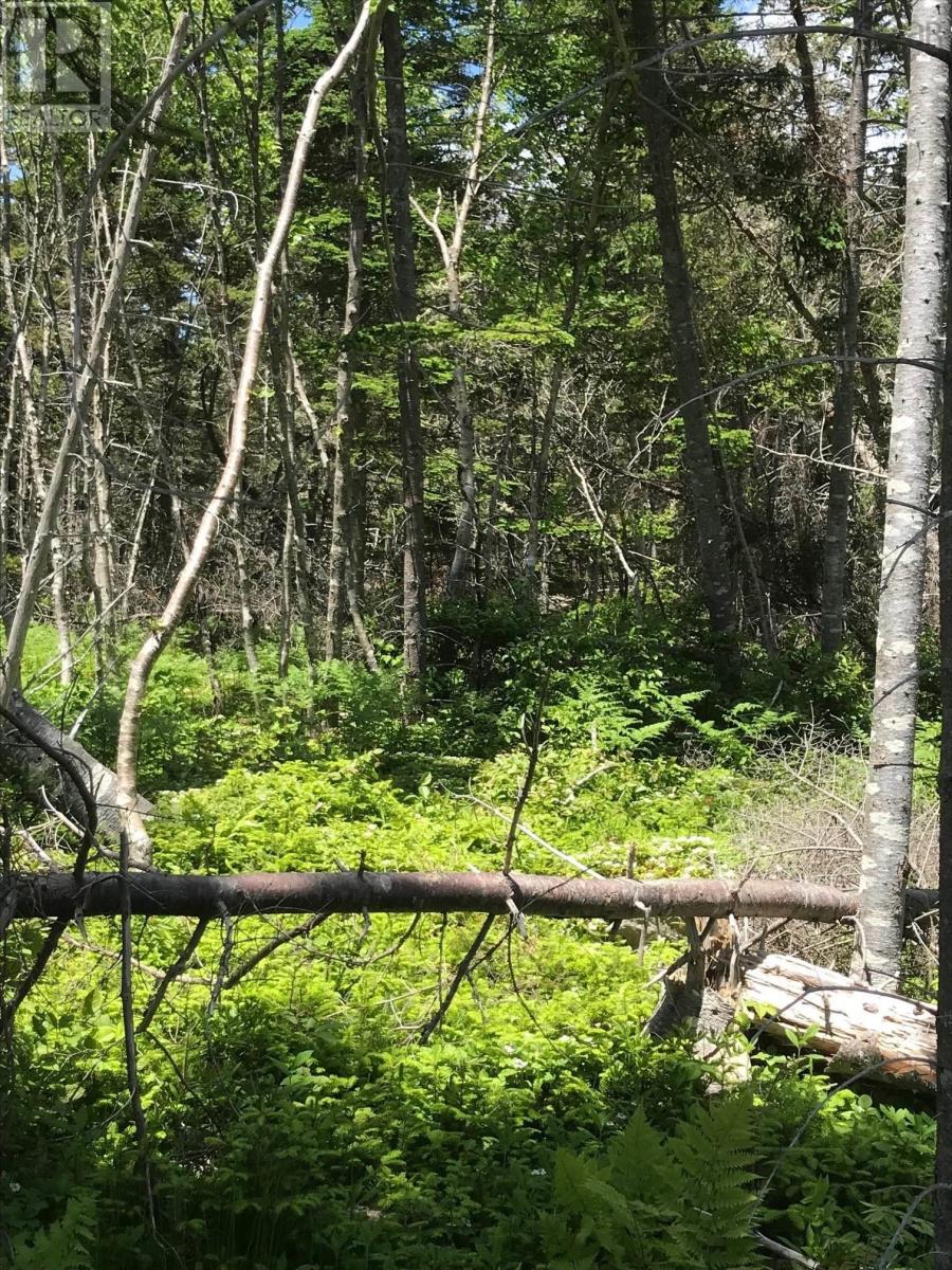 Photo 15 of Lot 1 No 7 H Highway, Port Dufferin NS