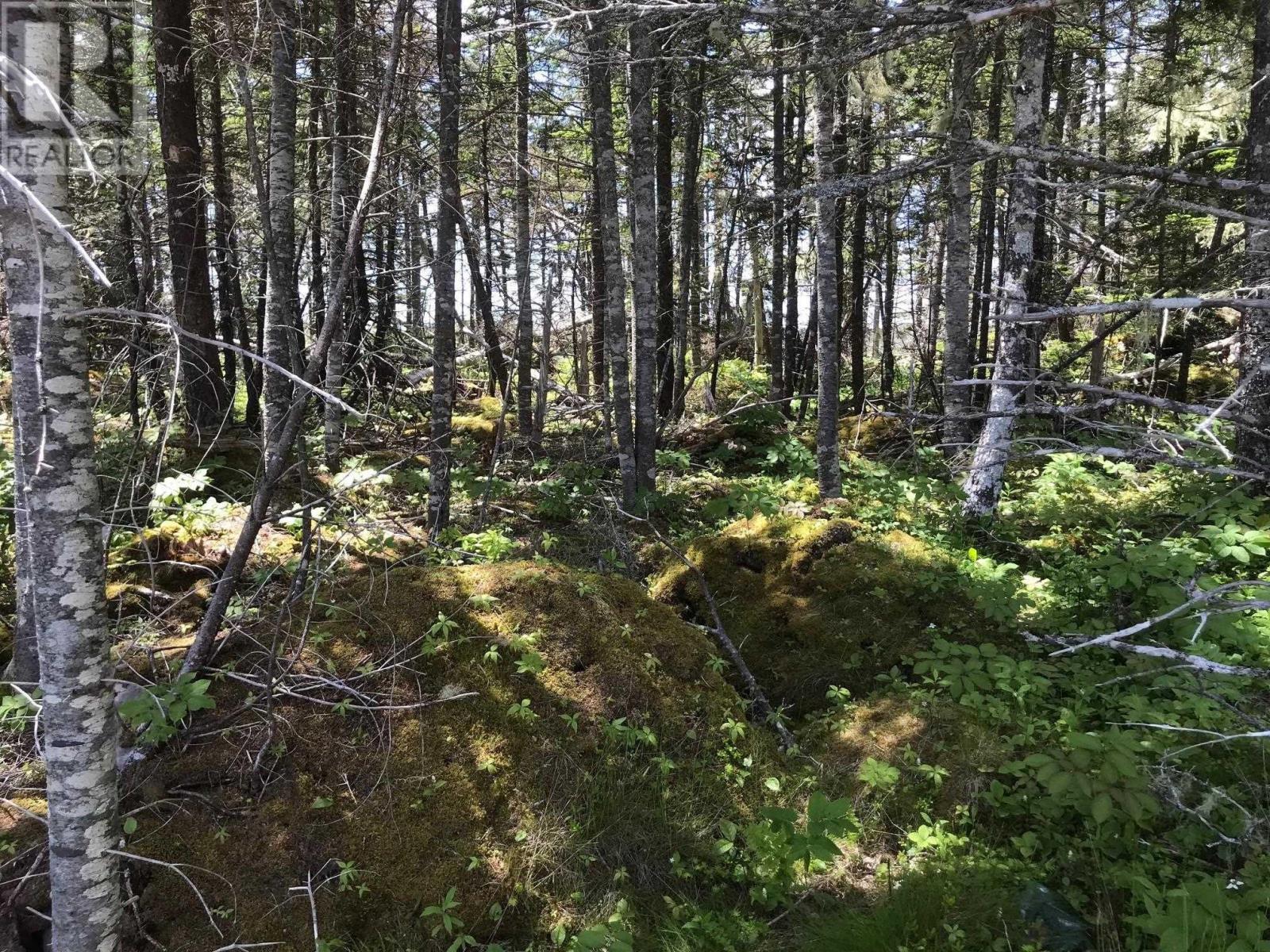 Photo 14 of Lot 1 No 7 H Highway, Port Dufferin NS