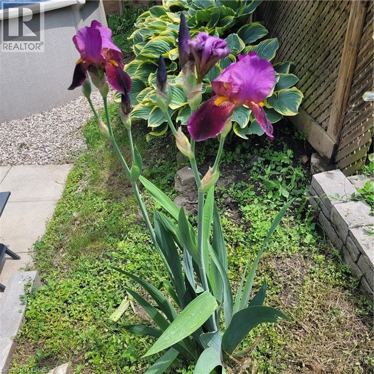 Photo 40 of 81 Strathcona Avenue, Brantford ON
