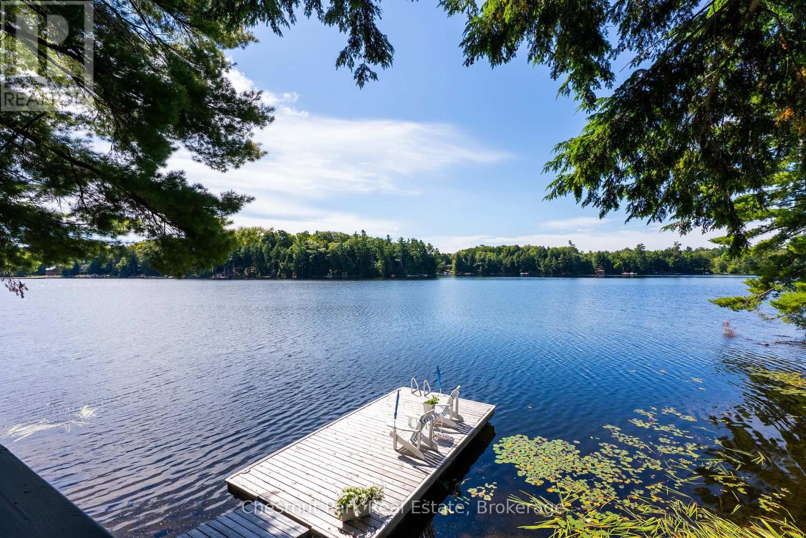 Photo 3 of 5 1192 Whites Road, Muskoka Lakes ON
