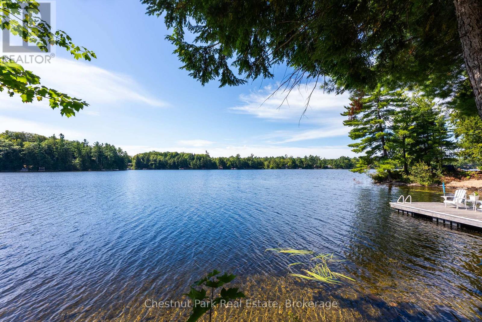 Photo 4 of 5 1192 Whites Road, Muskoka Lakes ON