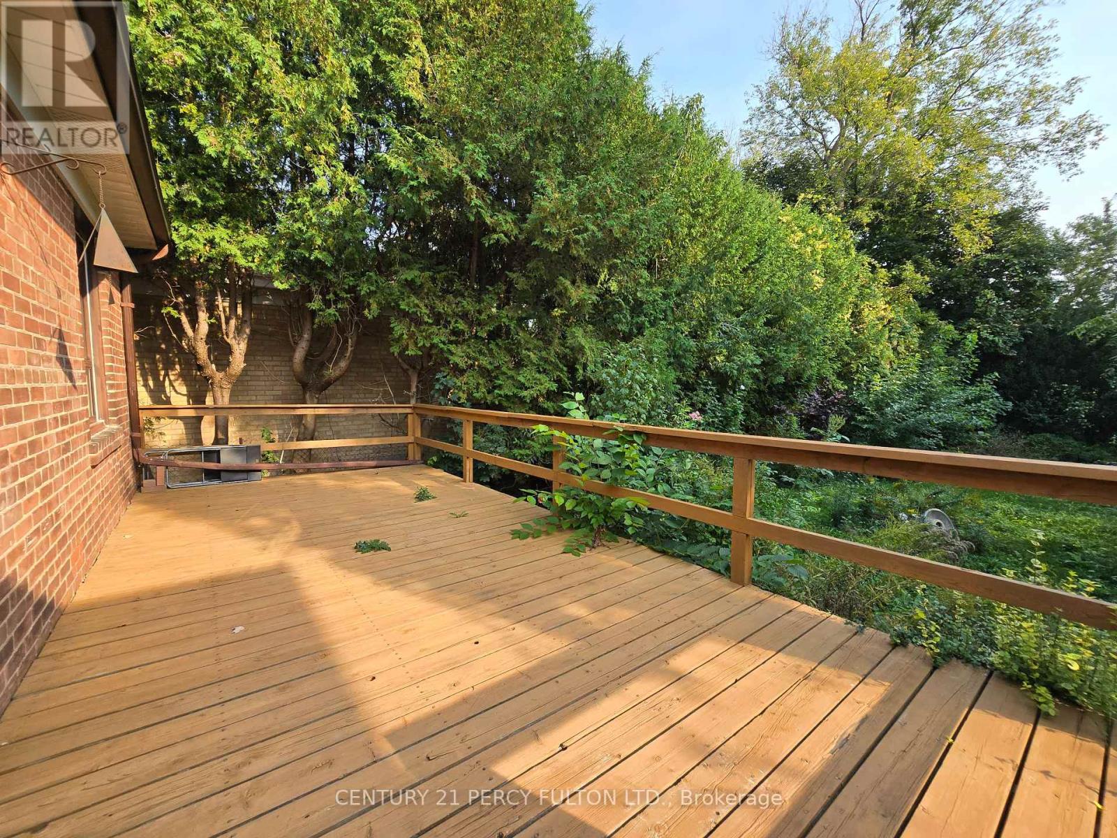 Photo 5 of 109 Norton Avenue, Toronto ON