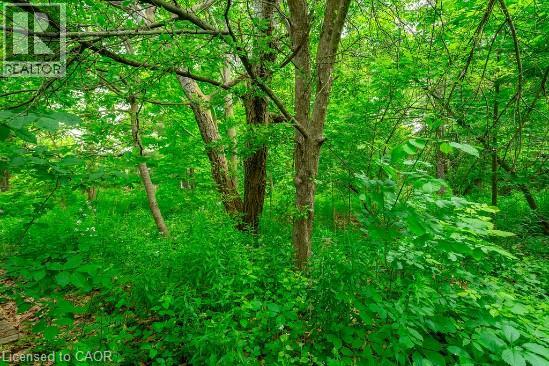 Photo 12 of 183 Old Upper Middle Road, Oakville ON