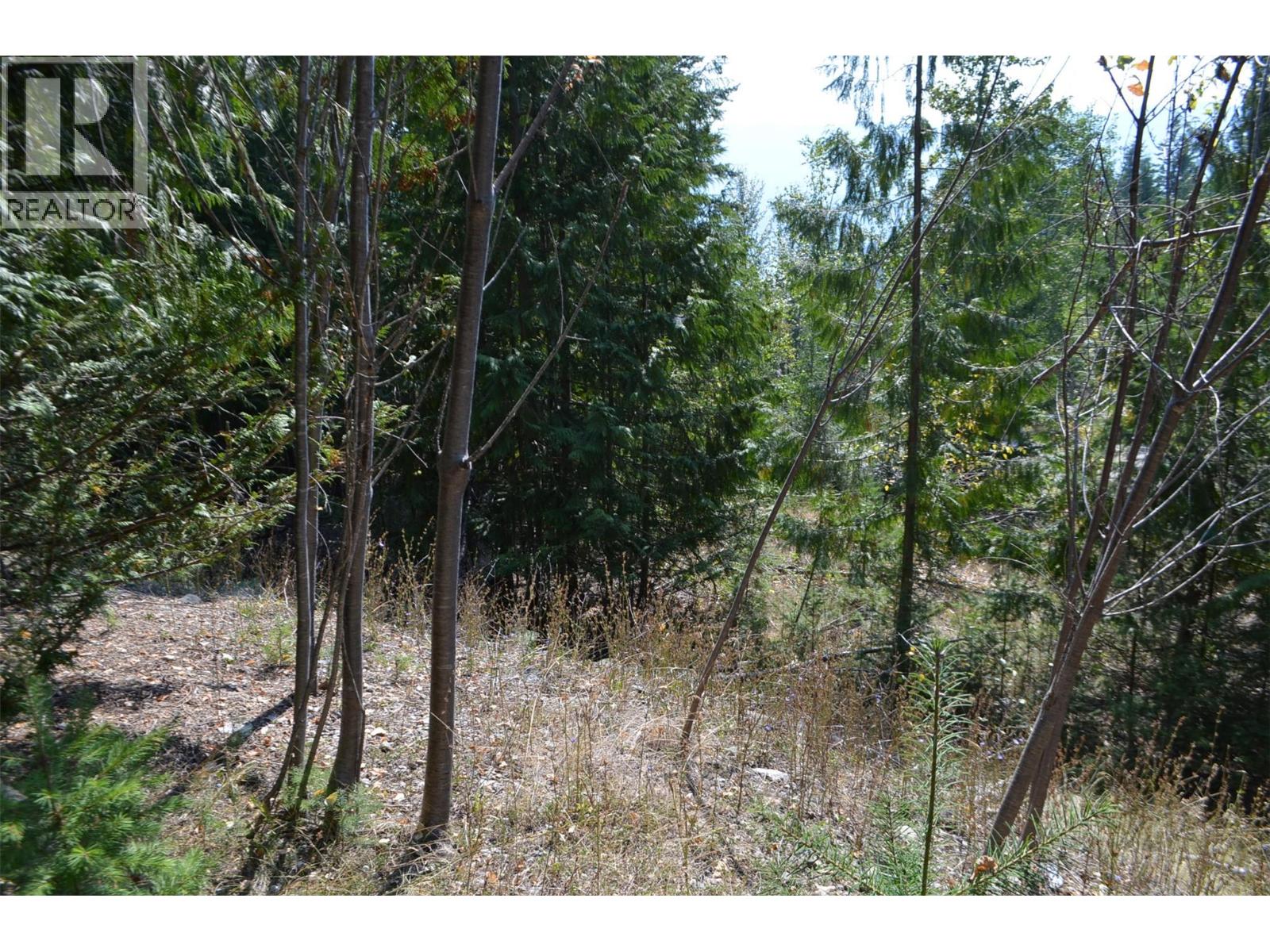 Photo 1 of Fraser Road Lot 59, Anglemont BC