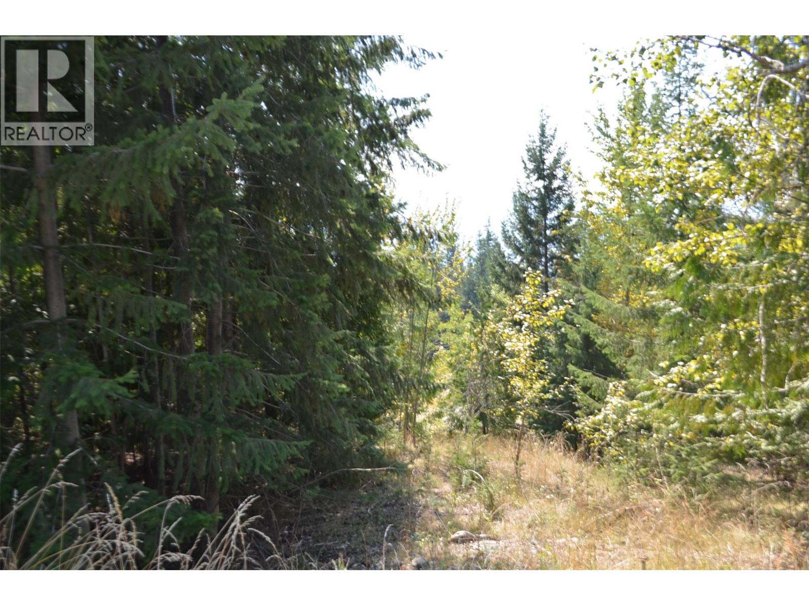 Photo 10 of Fraser Road Lot 59, Anglemont BC
