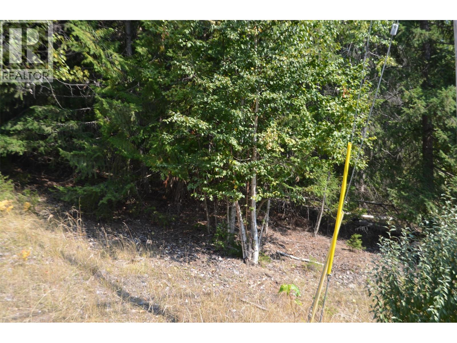 Photo 11 of Fraser Road Lot 59, Anglemont BC