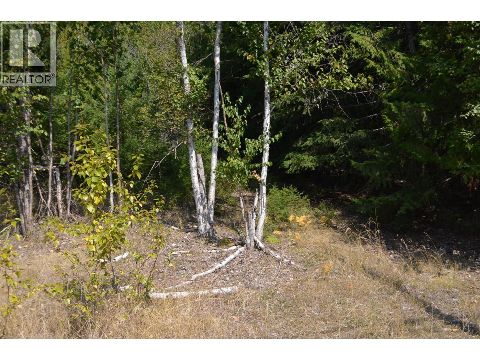 Photo 12 of Fraser Road Lot 59, Anglemont BC