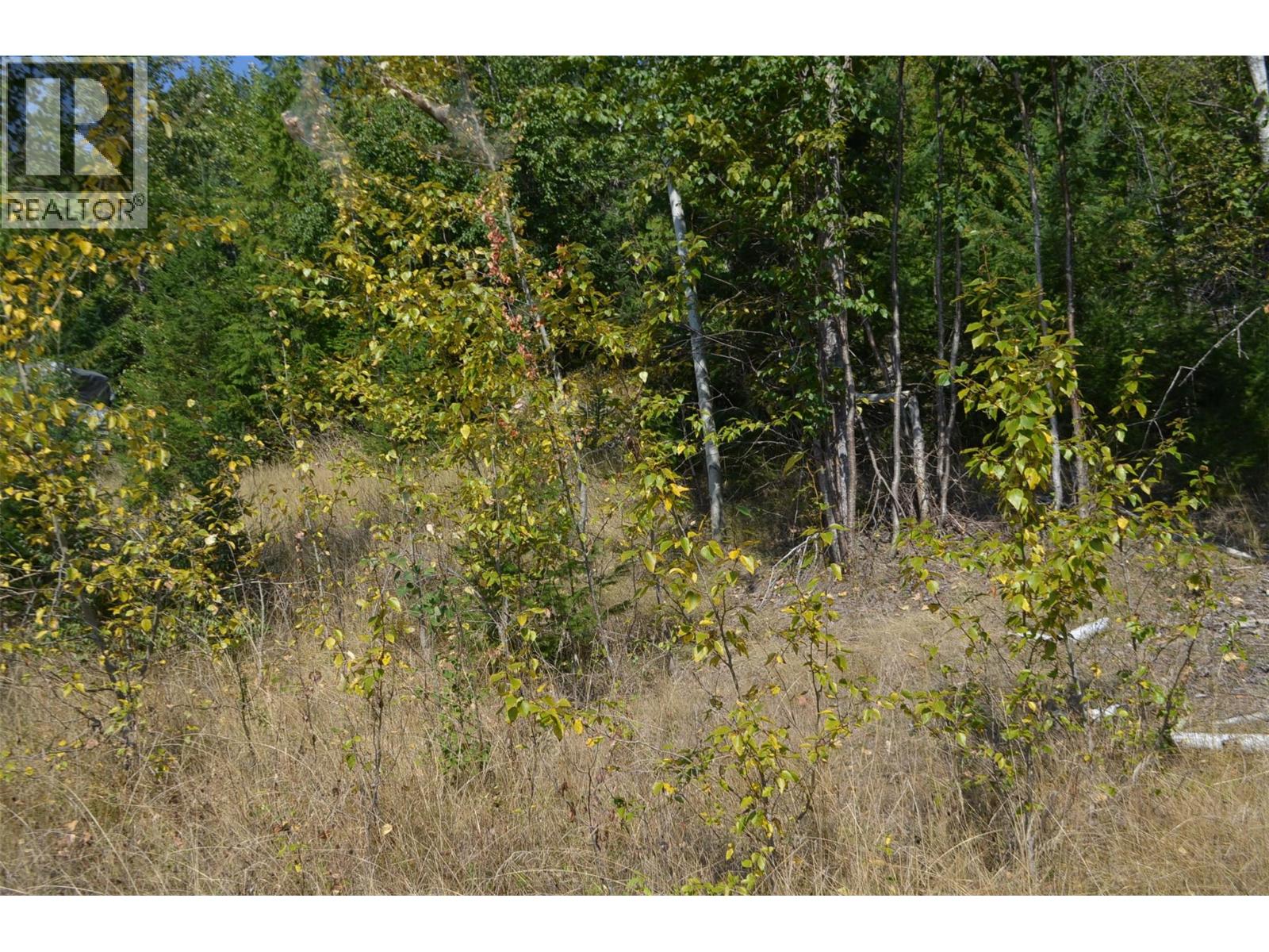 Photo 13 of Fraser Road Lot 59, Anglemont BC