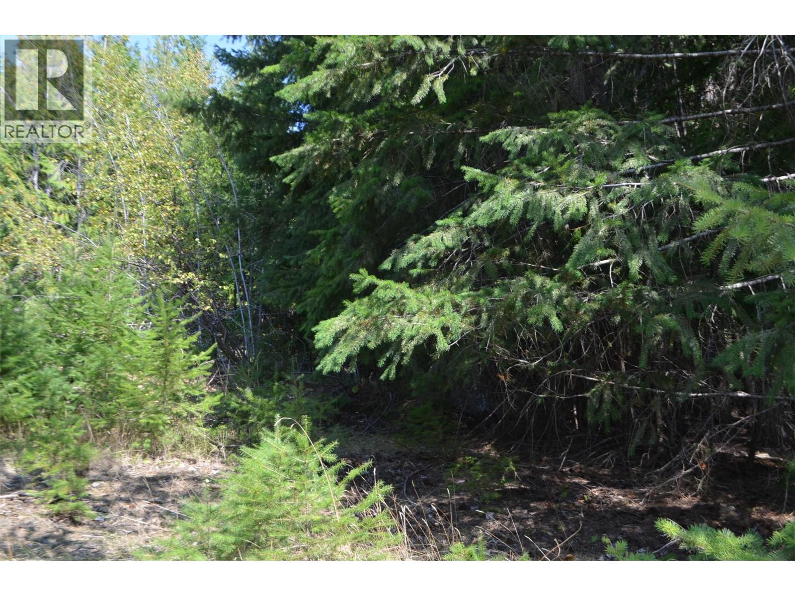 Photo 14 of Fraser Road Lot 59, Anglemont BC