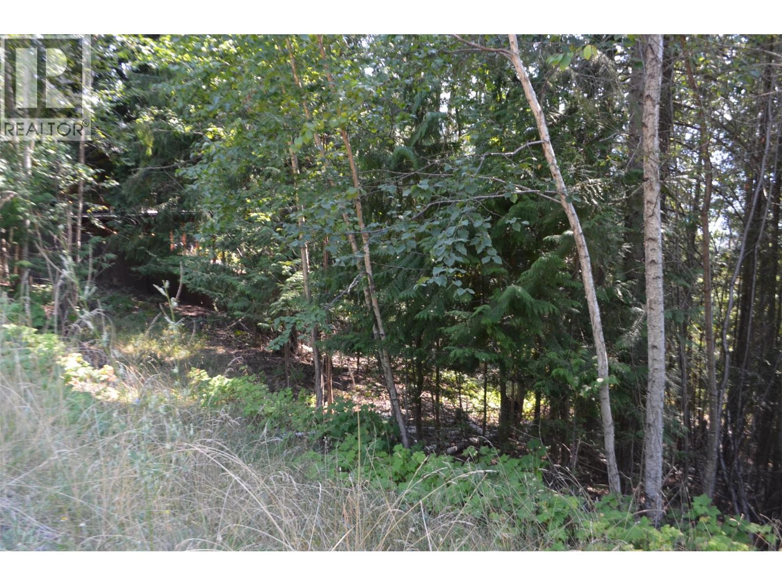 Photo 2 of Fraser Road Lot 59, Anglemont BC