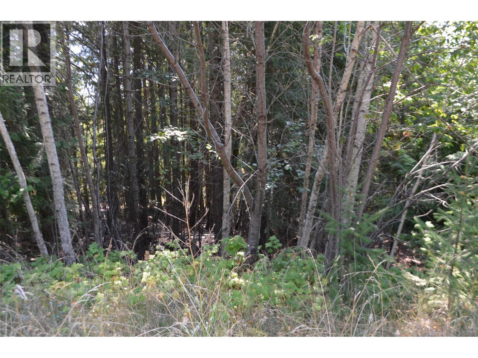 Photo 3 of Fraser Road Lot 59, Anglemont BC