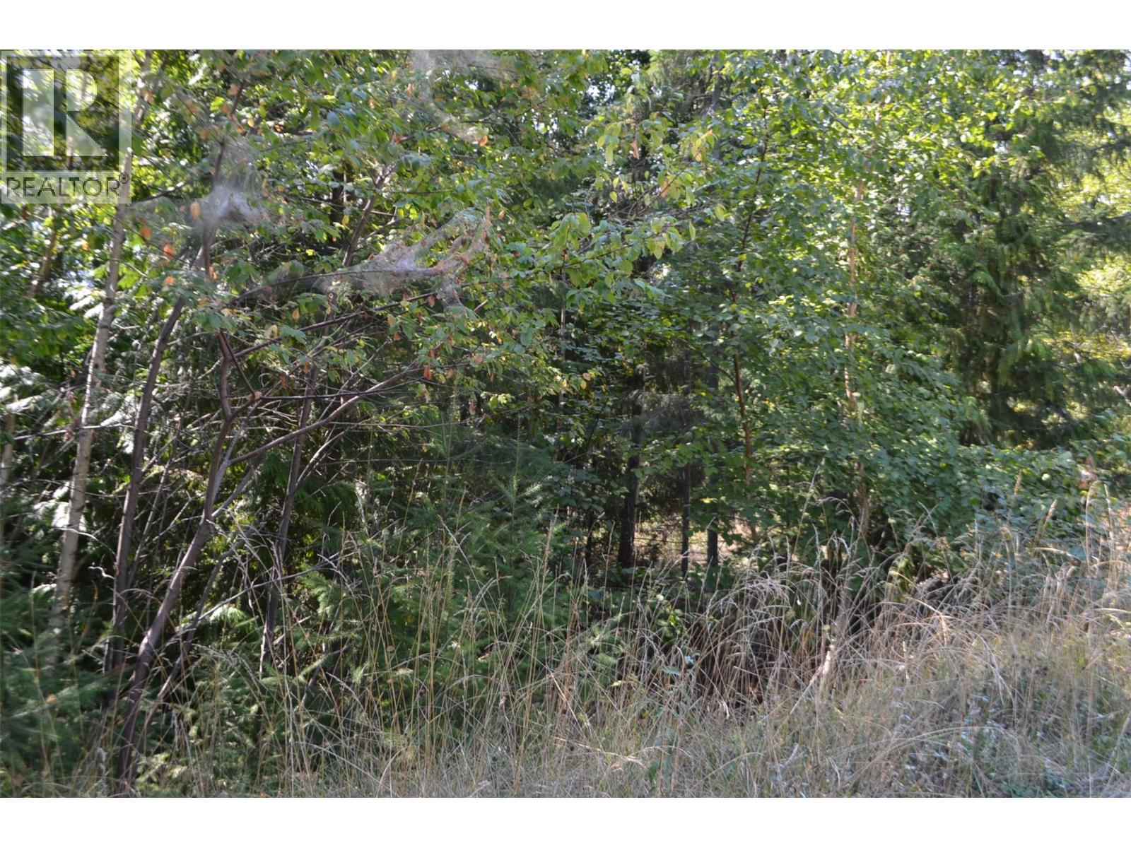 Photo 4 of Fraser Road Lot 59, Anglemont BC