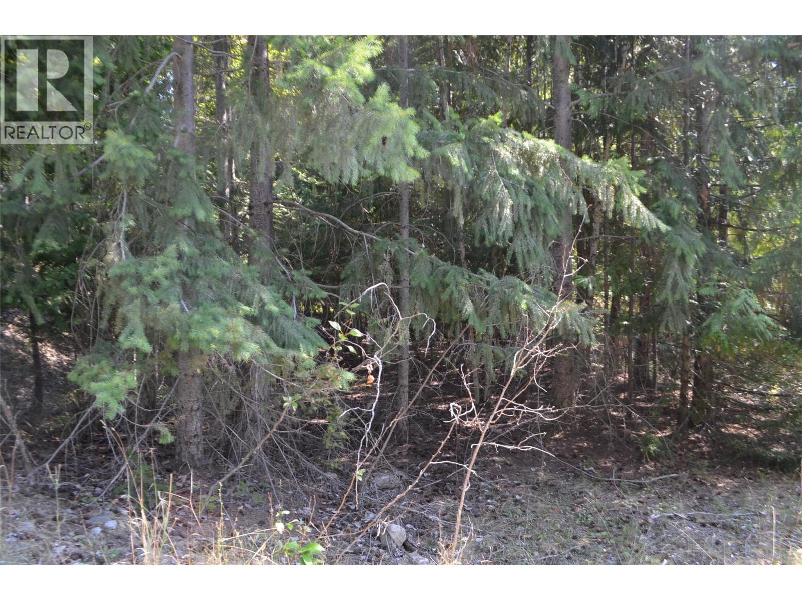Photo 5 of Fraser Road Lot 59, Anglemont BC