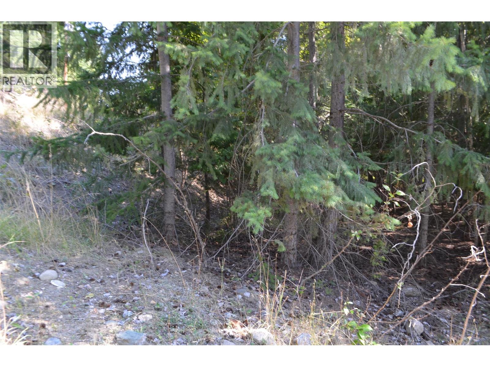 Photo 6 of Fraser Road Lot 59, Anglemont BC