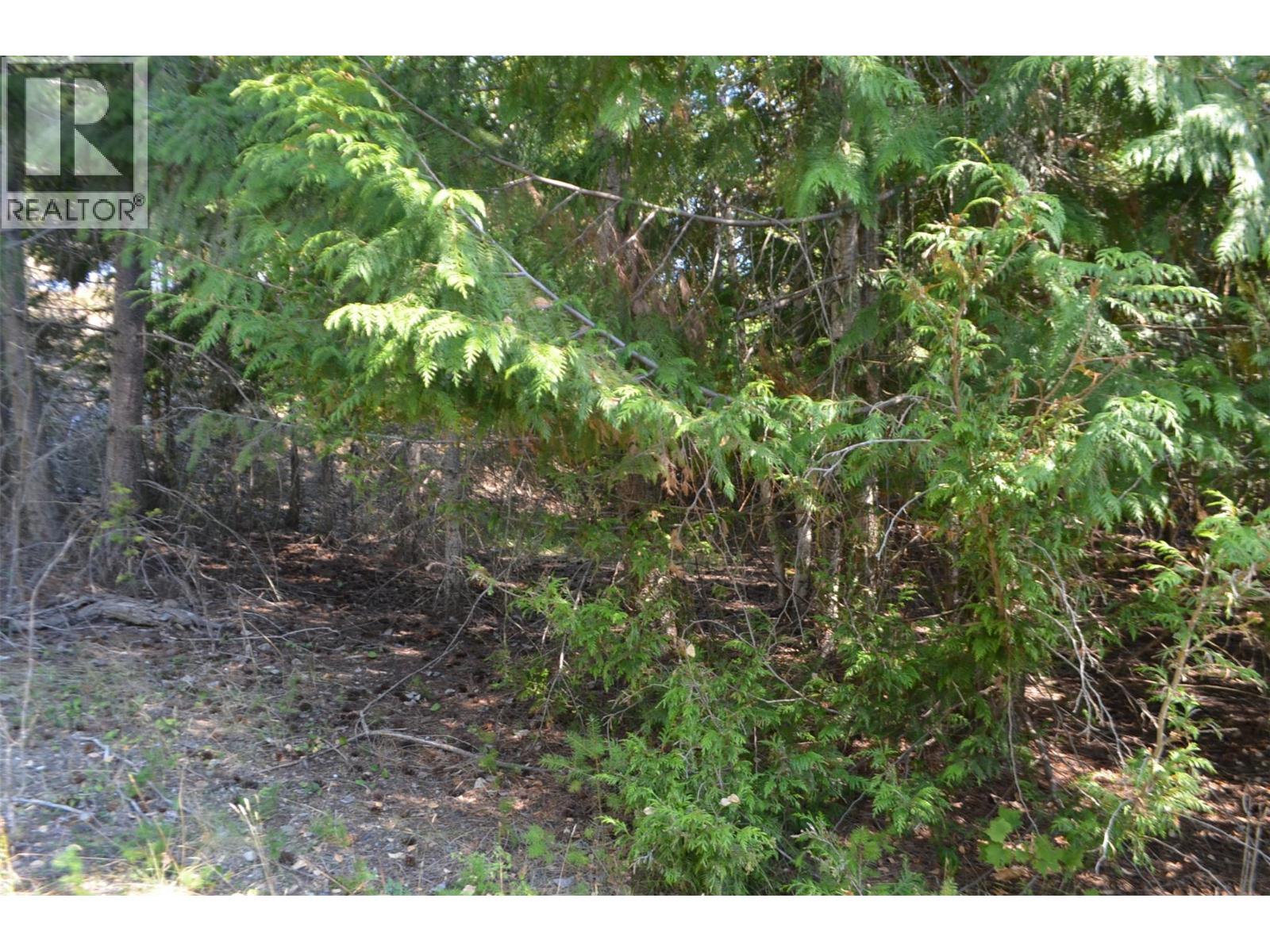 Photo 7 of Fraser Road Lot 59, Anglemont BC