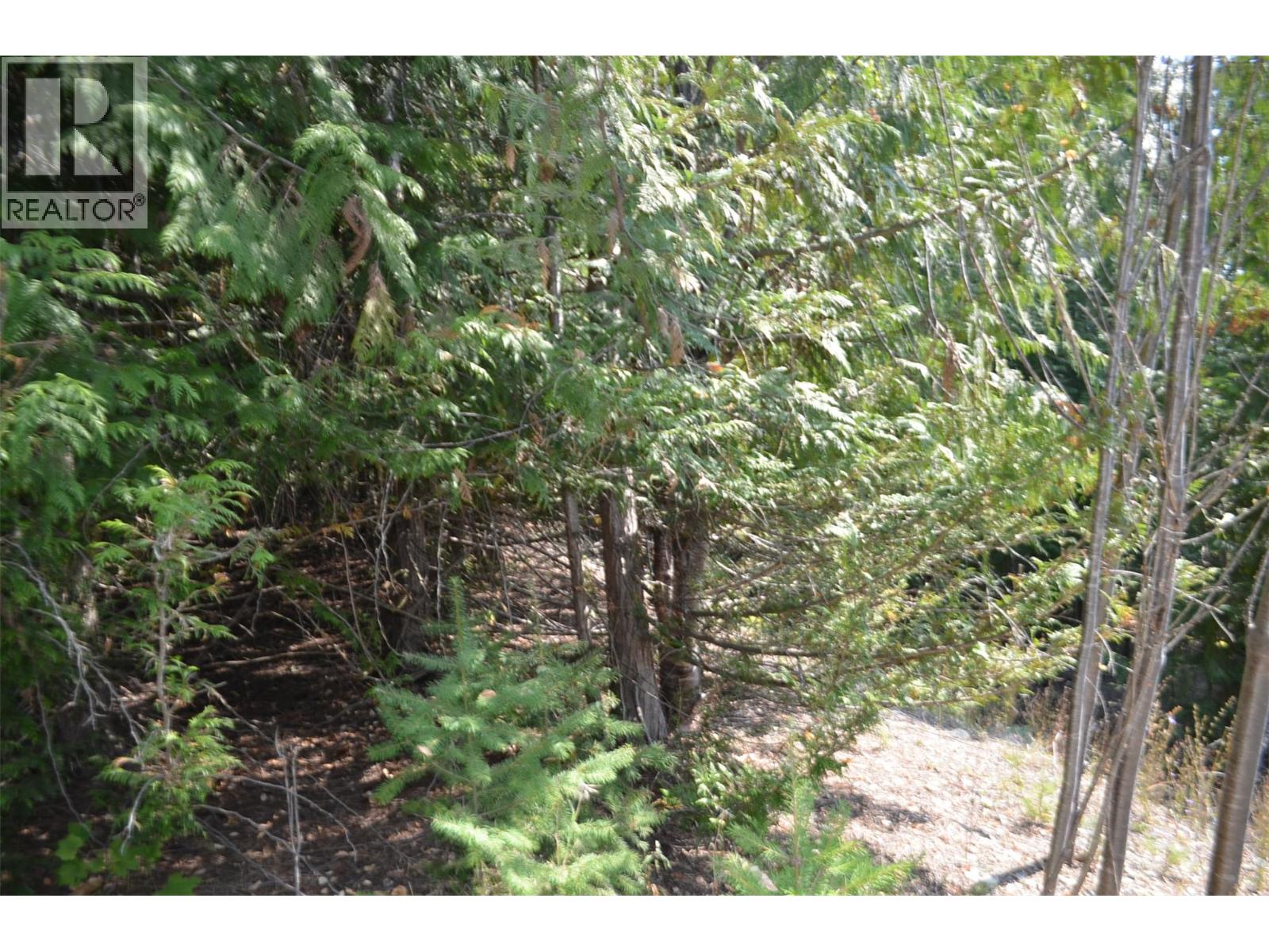 Photo 8 of Fraser Road Lot 59, Anglemont BC