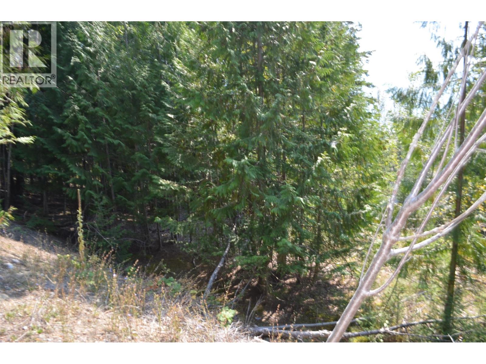 Photo 9 of Fraser Road Lot 59, Anglemont BC