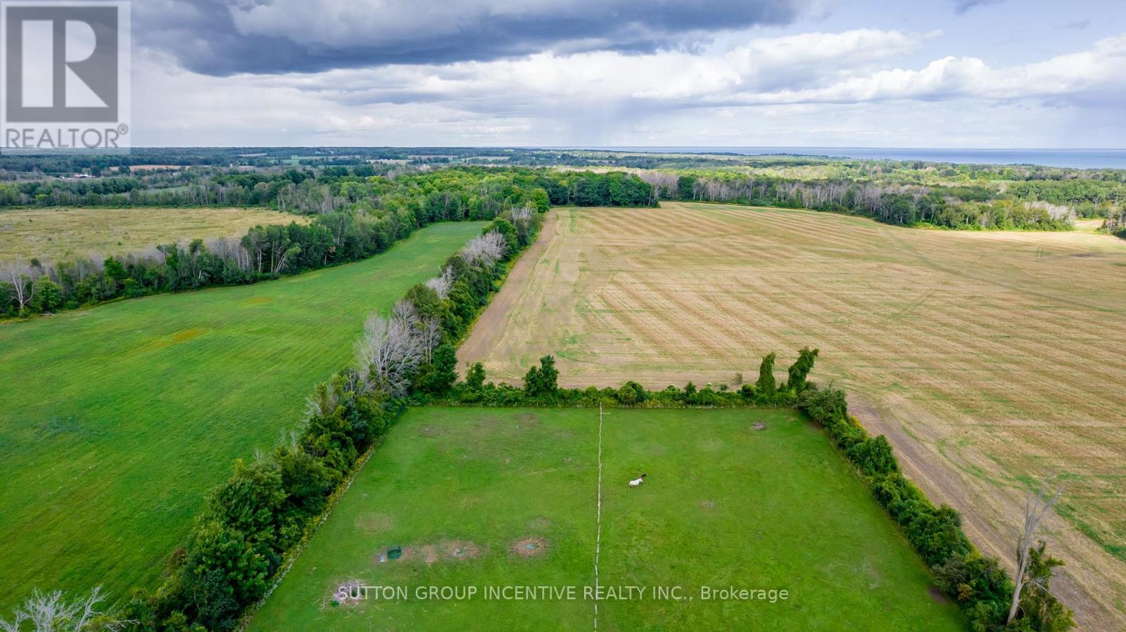 Photo 9 of 665 4 Line S, Oromedonte ON