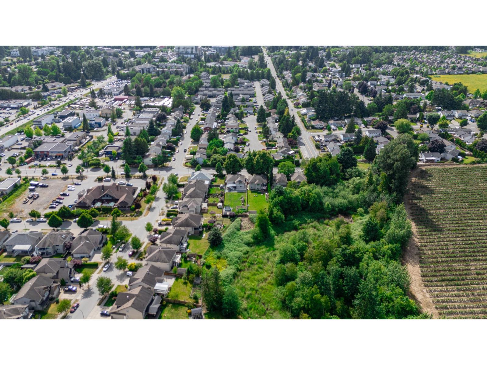 Photo 7 of 3162 Station Road, Abbotsford BC