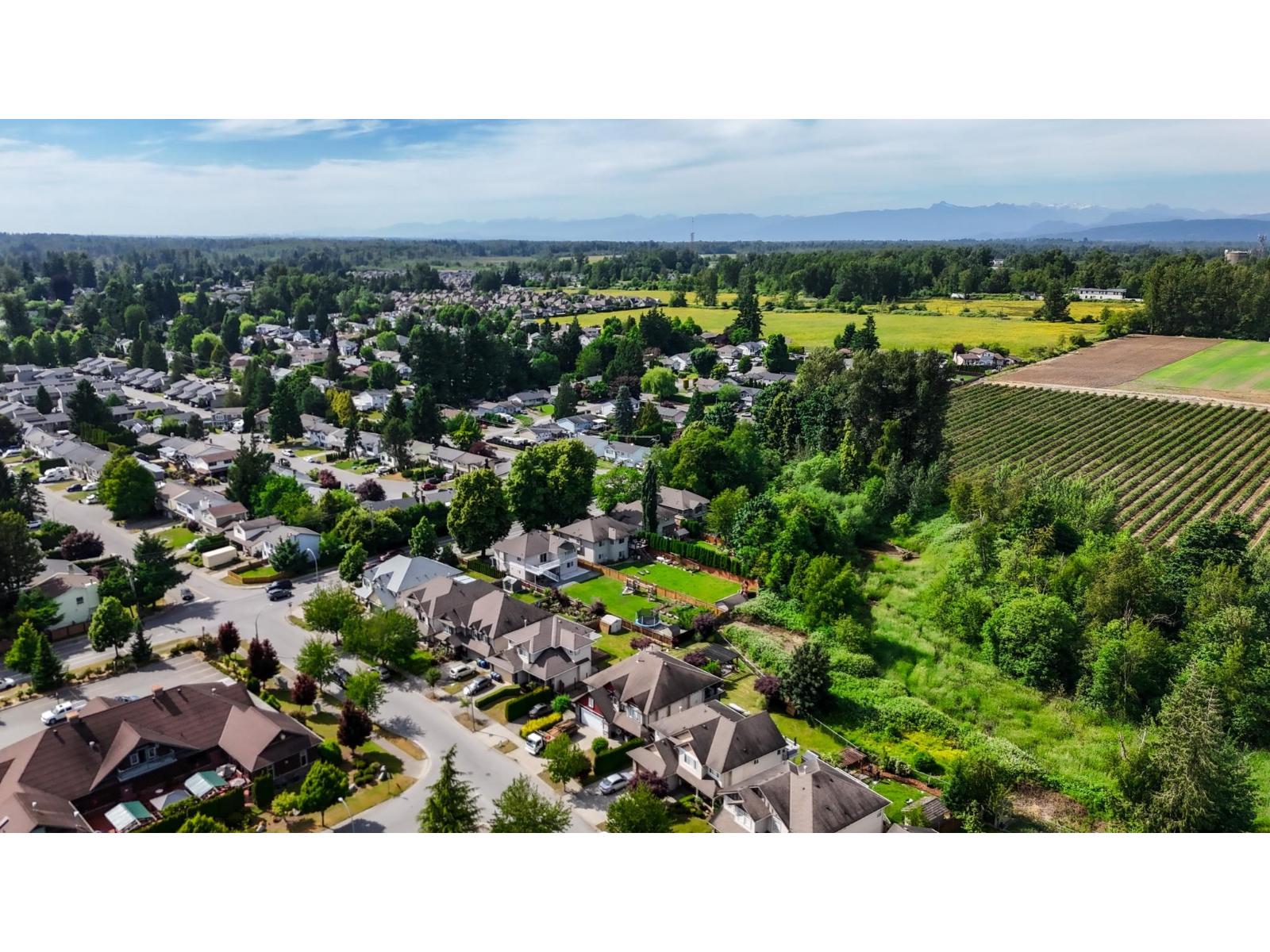 Photo 8 of 3162 Station Road, Abbotsford BC