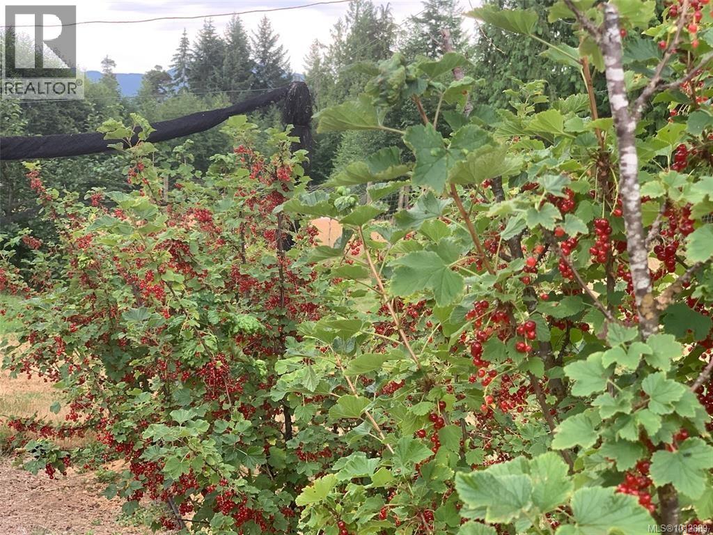 Photo 50 of 4800 Island Hwy W, Qualicum Beach BC