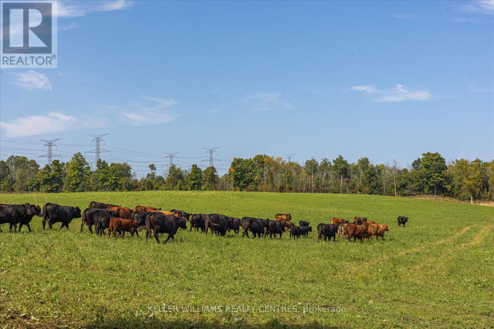 Photo 10 of 4956 Fifth Line, Erin ON